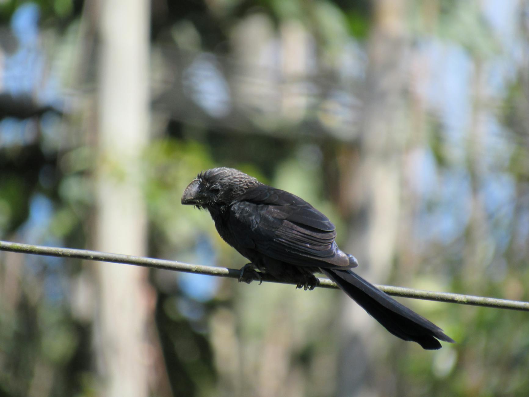 Brûlure anale : remèdes naturels efficaces pour soulager