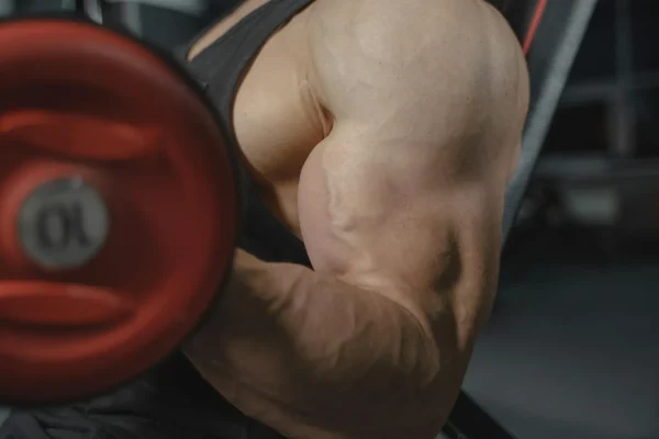 Prendre du muscle rapidement : le protocole complet en 7 étapes
