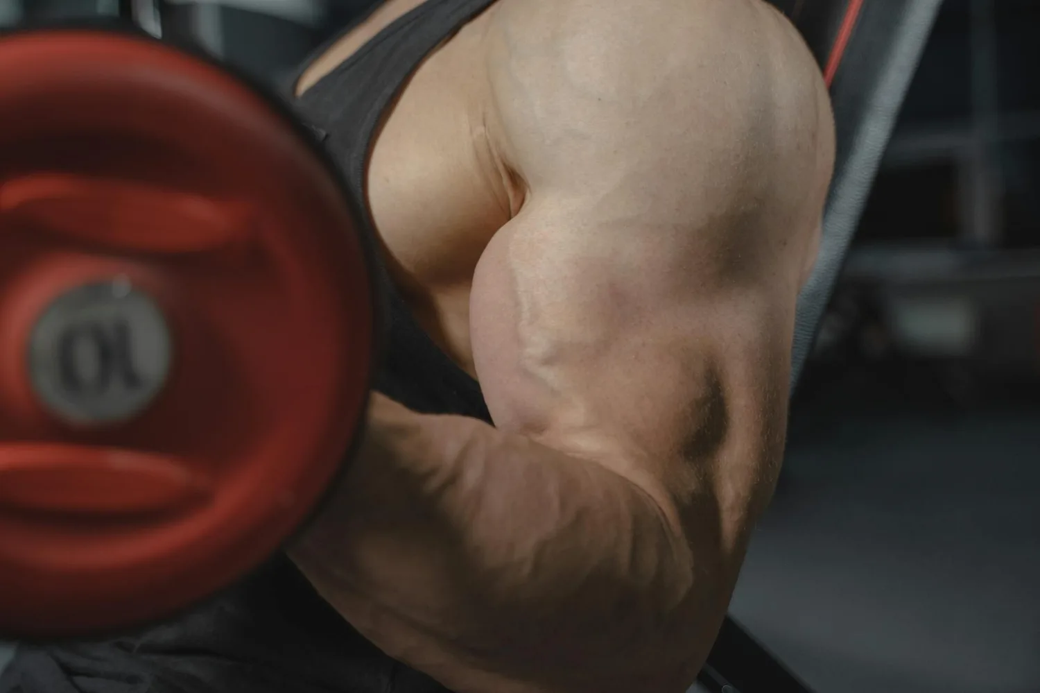 Prendre du muscle rapidement : le protocole complet en 7 étapes