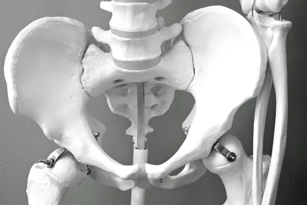 Douleur au coccyx : causes, symptômes et solutions efficaces